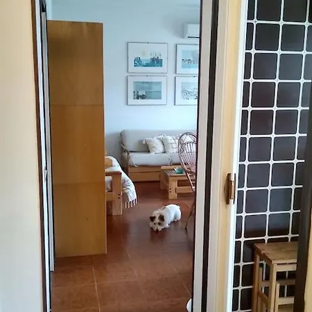 Apartment Casa Marina *